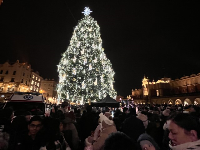 Choinka rozświetlona