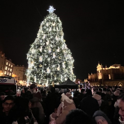 Choinka rozświetlona